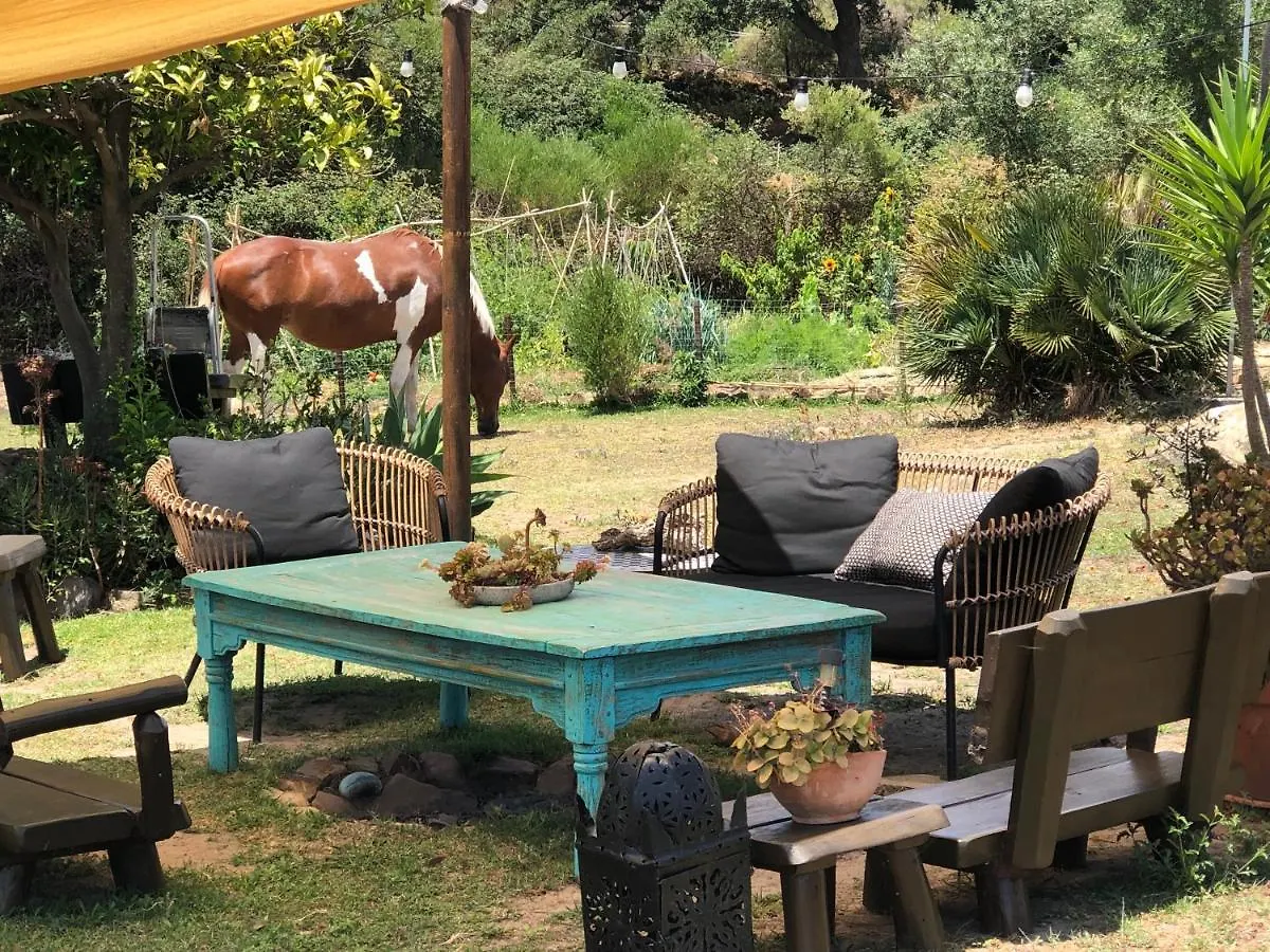 Luxury tent Eco Spirit Hotel Tarifa
