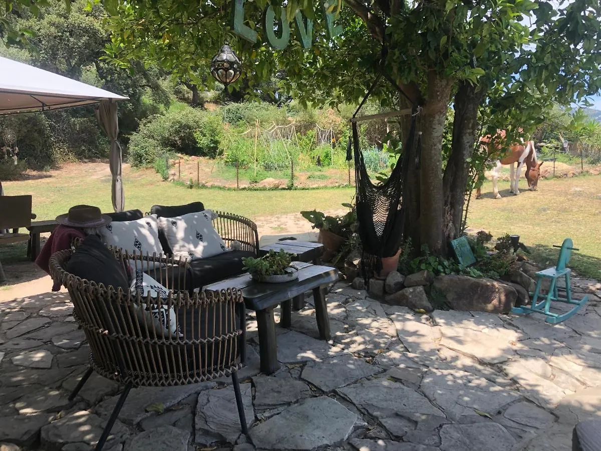 Luxury tent Eco Spirit Hotel Tarifa